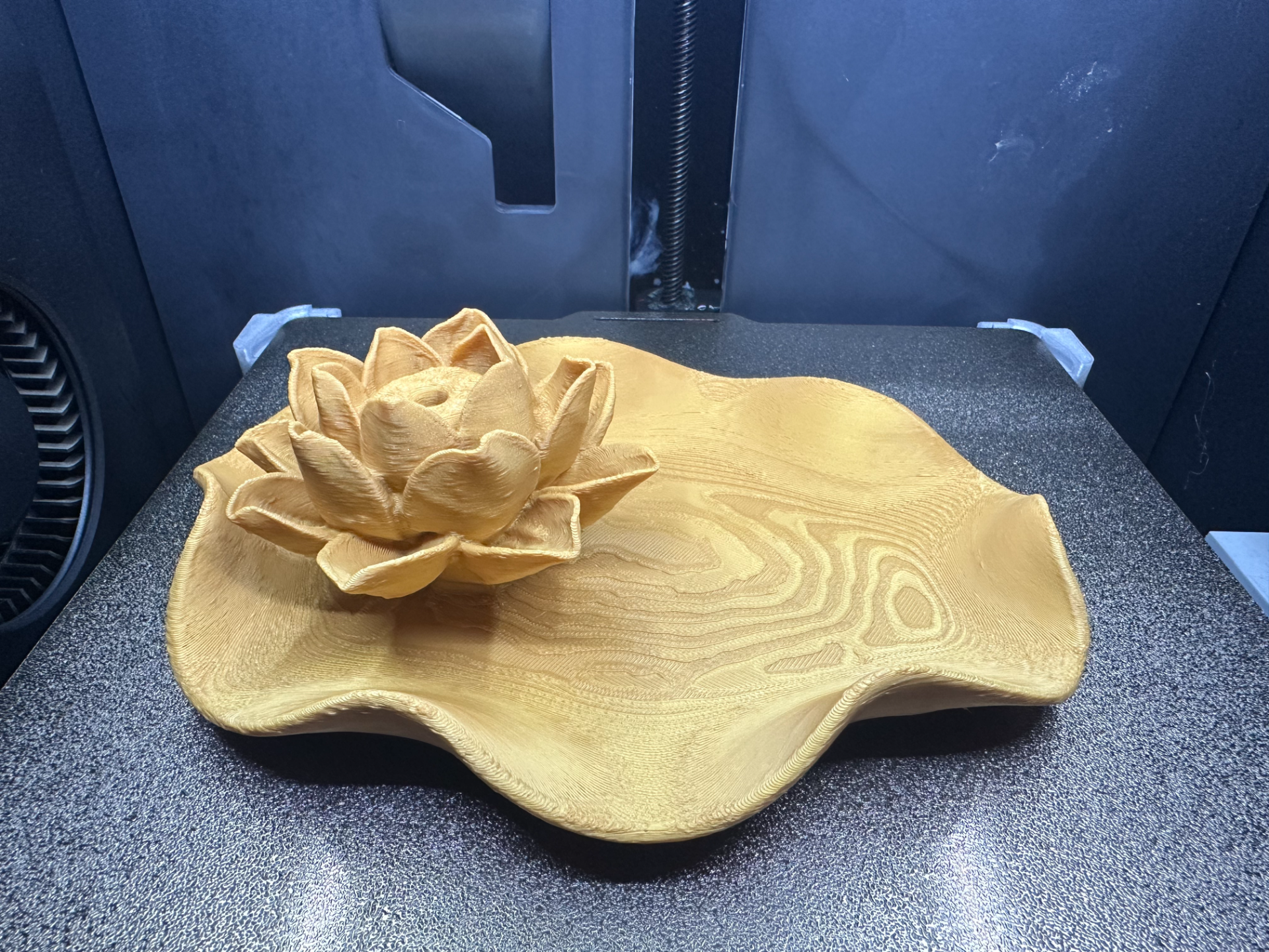 Lotus plakası