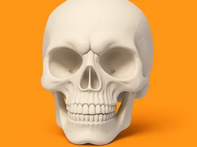 Skull decoration
