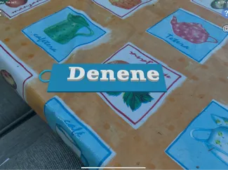 Denene keychain