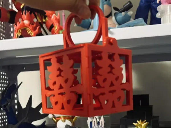 https://makerworld.bblmw.com/makerworld/model/DSM00000001568805/design/2025-07-02_0de0f1bf03fca.jpg