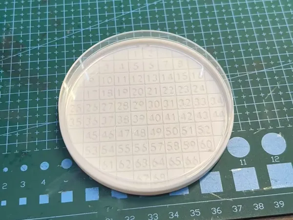 https://makerworld.bblmw.com/makerworld/model/DSM00000001569491/design/2025-07-02_1d2daed9adc47.png