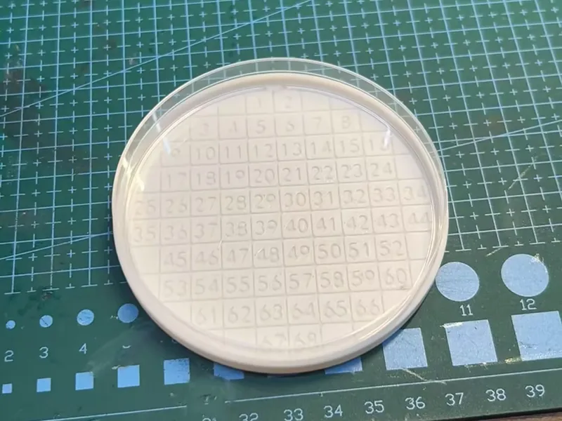 培养皿画格子