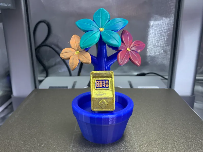 发财树