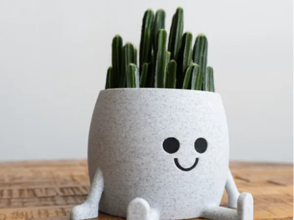 https://makerworld.bblmw.com/makerworld/model/DSM00000001570830/design/2025-07-02_6a998398c22658.jpg