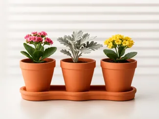 Desktop Mini Garden Planter Set with Tray