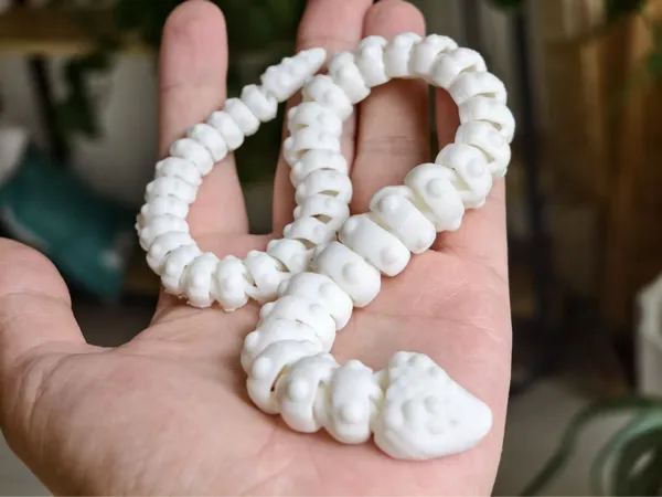https://makerworld.bblmw.com/makerworld/model/DSM00000001571244/design/2025-07-03_37676c4bbb0d2.jpg