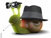 Tough Snail