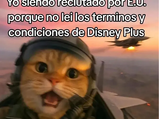 Cabeza esqueleto 
