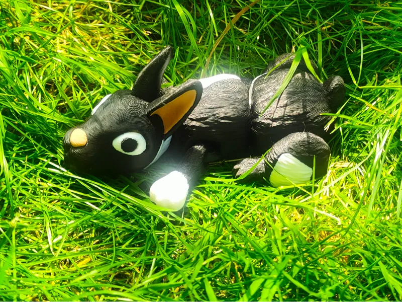 Bunny Rabbit