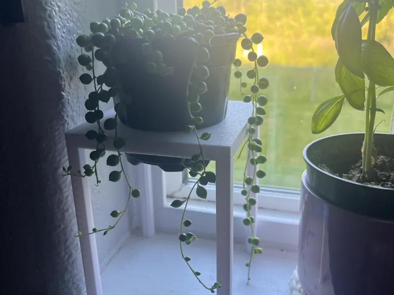 Plant Stand