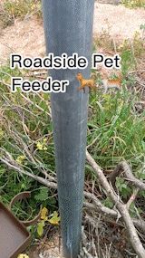 Roadside Pet Feeder