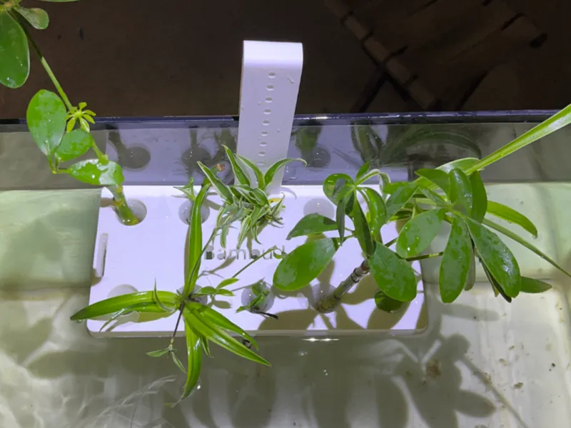 鱼缸水草盒，简约风