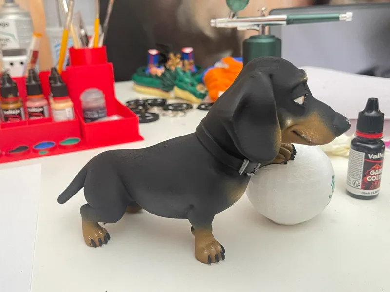 perro salchicha futbol