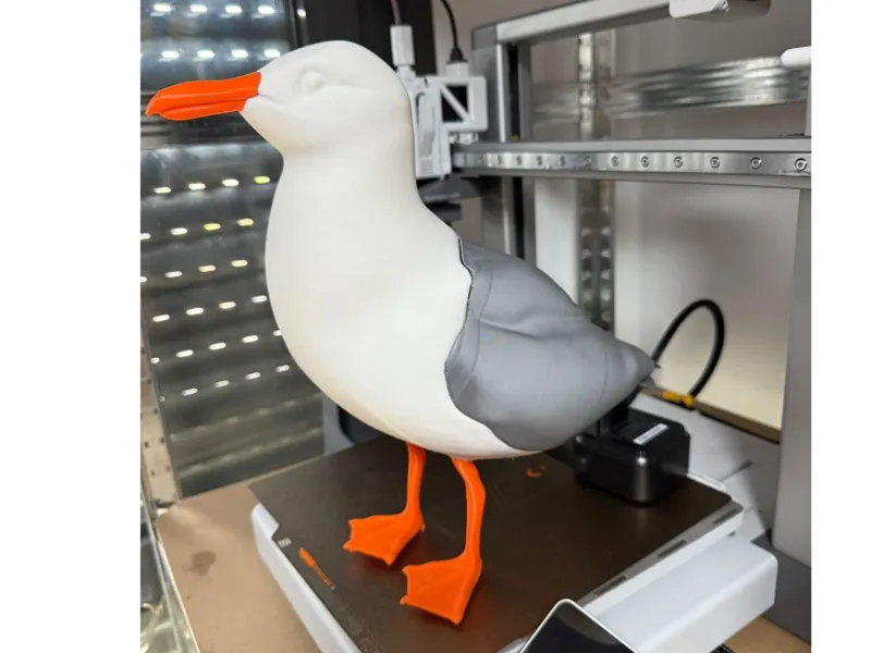 Gaviota realista en 3 partes - Fácil  imprimir 