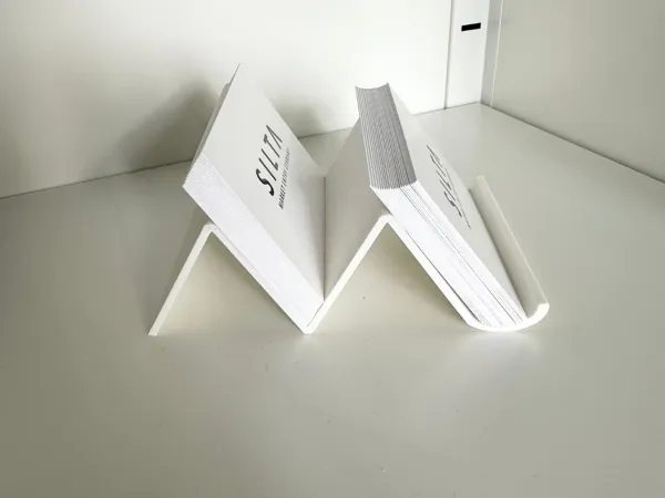 https://makerworld.bblmw.com/makerworld/model/DSM00000001577005/design/2025-07-05_91a3e40982957.jpg