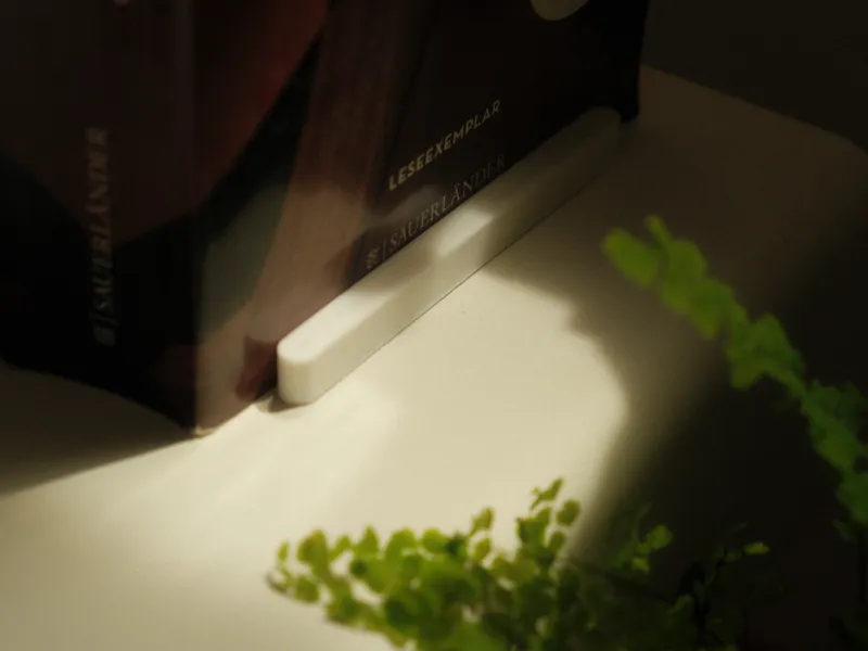 Minimalist Magnetic Bookstop