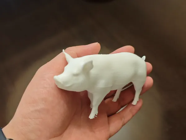https://makerworld.bblmw.com/makerworld/model/DSM00000001577780/design/2025-07-05_2000f7d6e270b.jpg