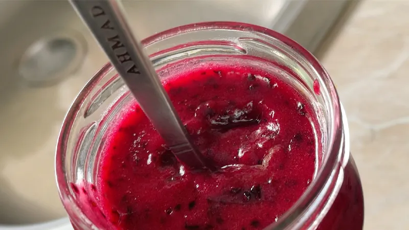 Compact Fruit Washer