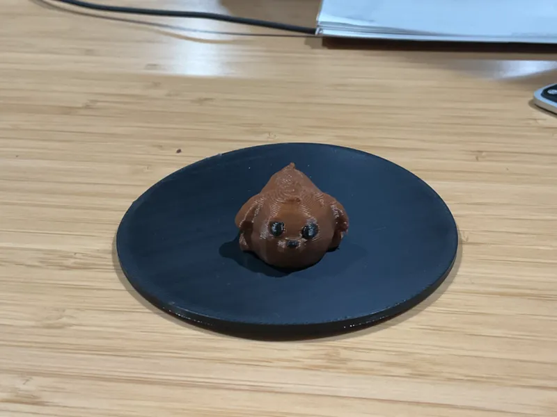 Cute dog