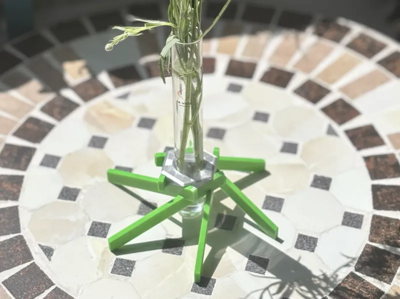 sechs Stäbe für eine einzelne Blume im Reagenzglas
