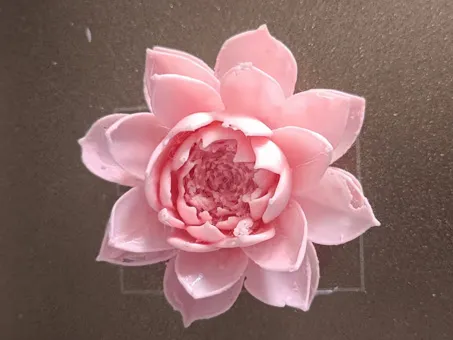 https://makerworld.bblmw.com/makerworld/model/DSM00000001580071/design/2025-07-06_ead78aa182258.jpg