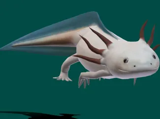 Cute Realistic Axolotl