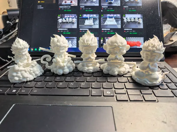 https://makerworld.bblmw.com/makerworld/model/DSM00000001581140/design/2025-07-06_66a66646d33ed.jpg