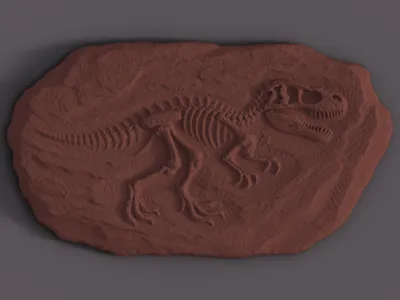 Mini–T. rex Fossil