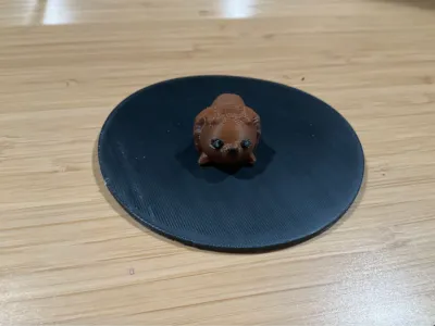 Cute lion