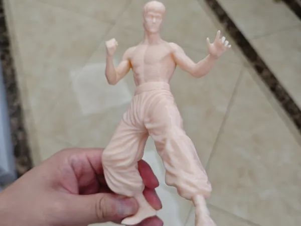 https://makerworld.bblmw.com/makerworld/model/DSM00000001582671/design/2025-07-07_48232cf7e23a.jpg