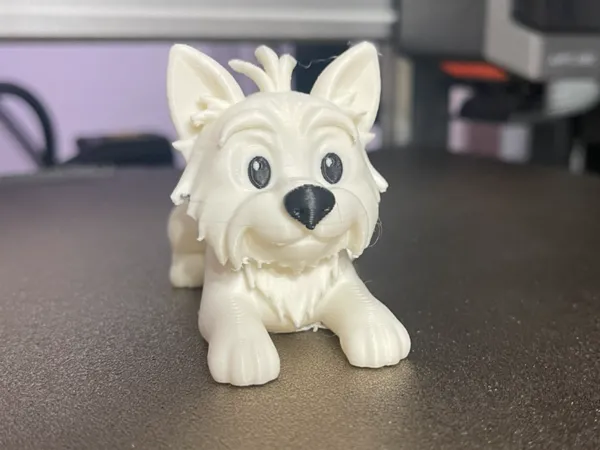 https://makerworld.bblmw.com/makerworld/model/DSM00000001582939/design/2025-07-07_3200cde9580ca8.jpeg