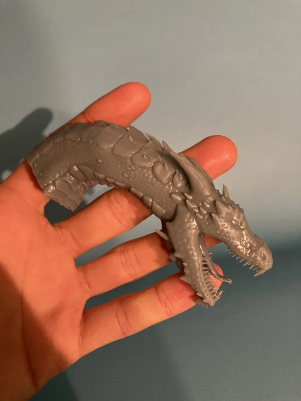Dragon Head