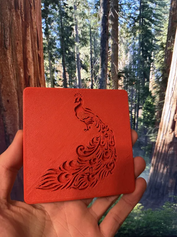 Peacock coaster