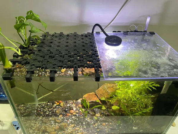 https://makerworld.bblmw.com/makerworld/model/DSM00000001587537/design/2025-07-08_22c69a5e85706.jpeg