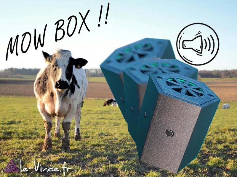 boite à meuh electronique