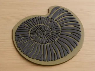 Ammonite fossil Coaster