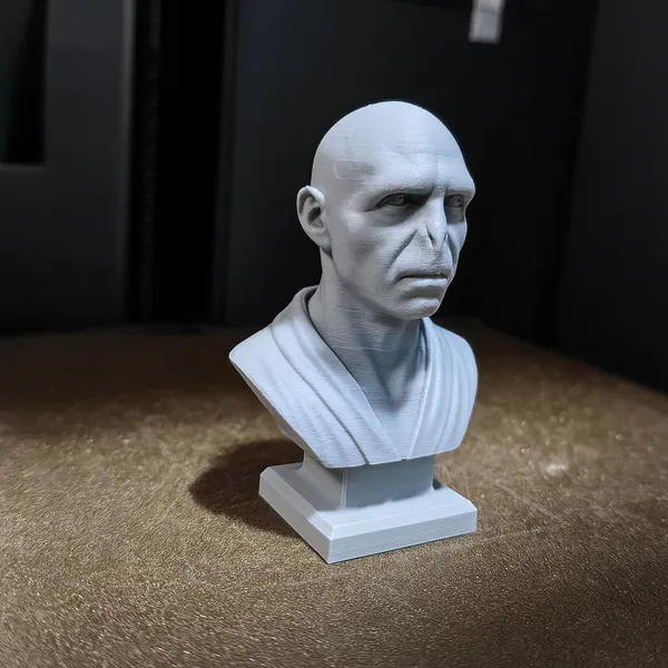 https://makerworld.bblmw.com/makerworld/model/DSM00000001588849/design/2025-07-09_qkkf5gu7zgfc.png