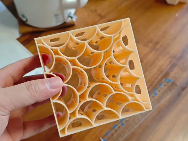 https://makerworld.bblmw.com/makerworld/model/DSM00000001589539/design/2025-07-09_03e9bd32a0e25.jpg