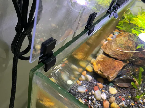 https://makerworld.bblmw.com/makerworld/model/DSM00000001590012/design/2025-07-09_834f76449789.jpeg