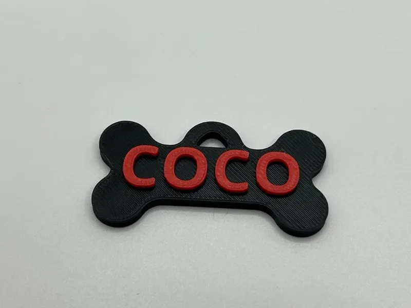 chapa perro COCO