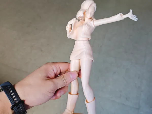 https://makerworld.bblmw.com/makerworld/model/DSM00000001592644/design/2025-07-10_fca9393b1bc848.jpg