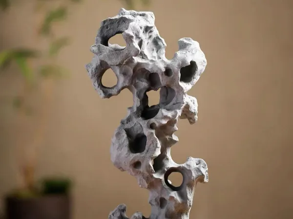 https://makerworld.bblmw.com/makerworld/model/DSM00000001592723/design/2025-07-10_8abd36bc80fbb.jpg