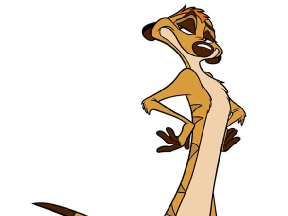 Timon FLex