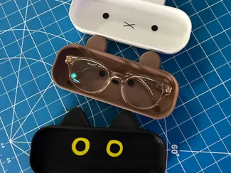 Glasses Case