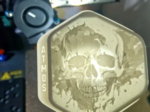 https://makerworld.bblmw.com/makerworld/model/DSM00000001595152/design/2025-07-10_c412e0dd543738.webp