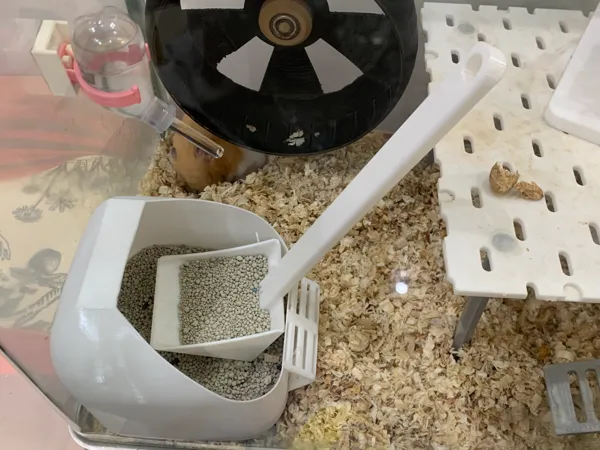 https://makerworld.bblmw.com/makerworld/model/DSM00000001597046/design/2025-07-12_e7d00225430c.jpg