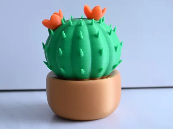 https://makerworld.bblmw.com/makerworld/model/DSM00000001598133/design/2025-07-12_5c93702319c648.jpg