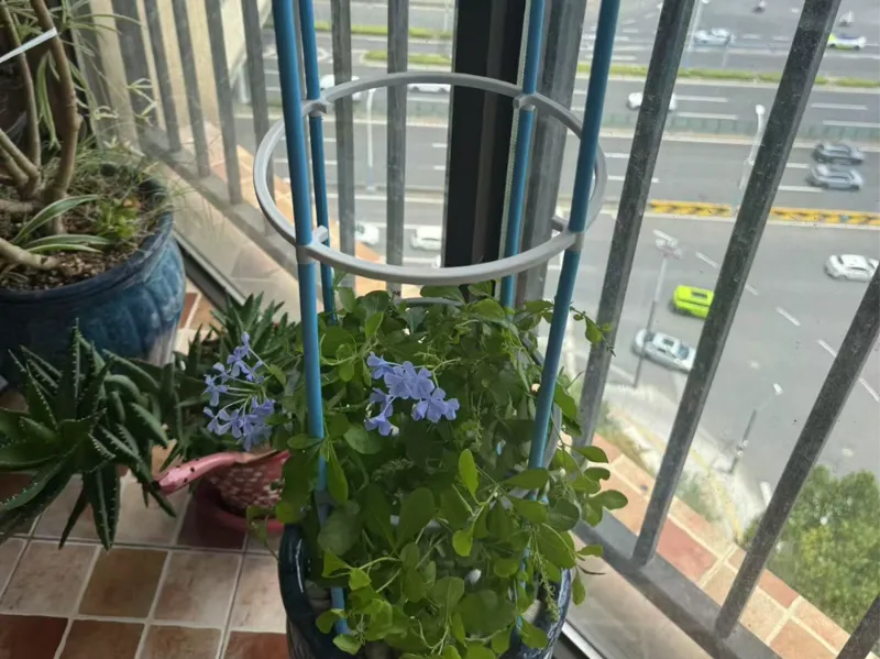 花爬支架