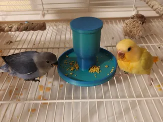 喂鸡投食器,食盒