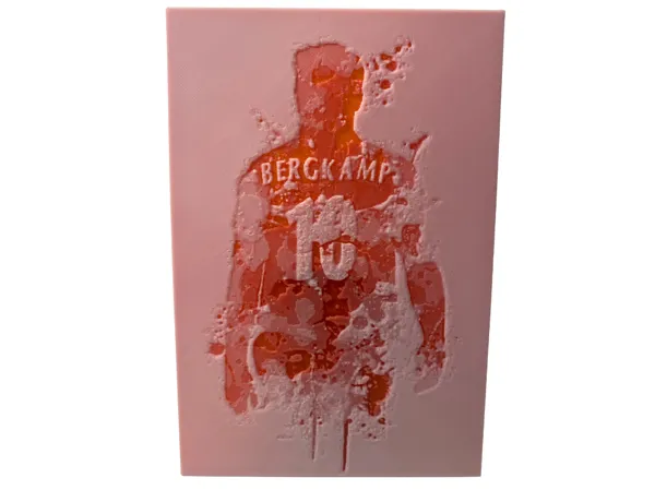https://makerworld.bblmw.com/makerworld/model/DSM00000001600136/design/2025-07-12_c46690a5f498d8.png